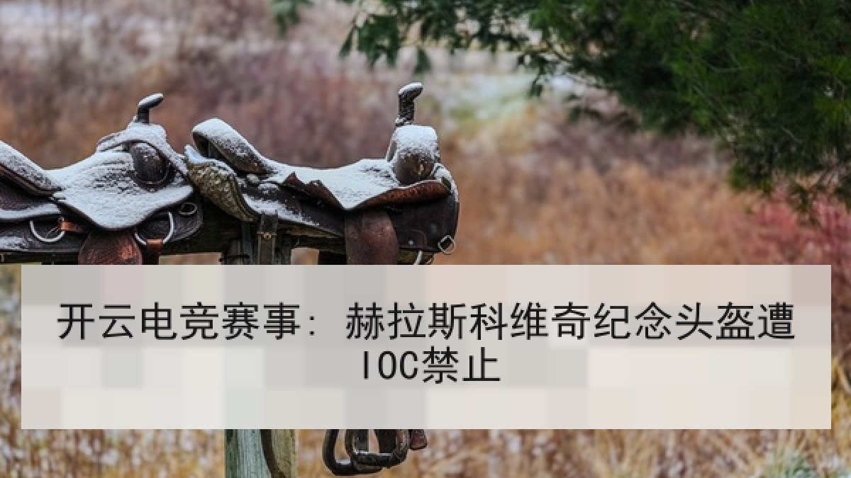 开云电竞赛事: 赫拉斯科维奇纪念头盔遭IOC禁止