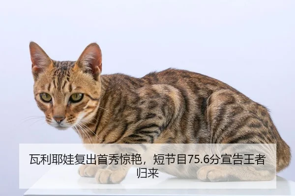 wa-li-ye-wa-fu-chu-shou-xiu-jing-yan-duan-jie-mu-fen-xuan-gao-wang-zhe-gui-lai-2-673.jpg