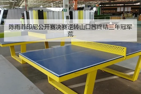 陈雨菲印尼公开赛决赛逆转山口茜终结三年冠军荒